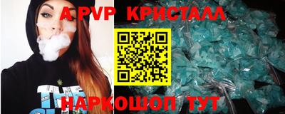 ешки Кингисепп