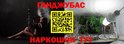 ешки Кингисепп