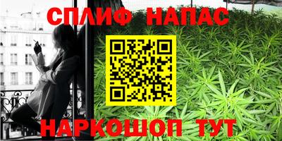 PSILOCYBIN Кинель