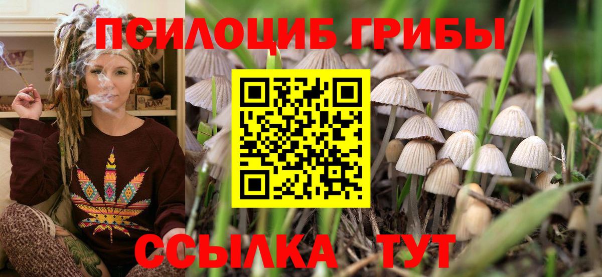 Псилоцибиновые грибы мухоморы Красноярск