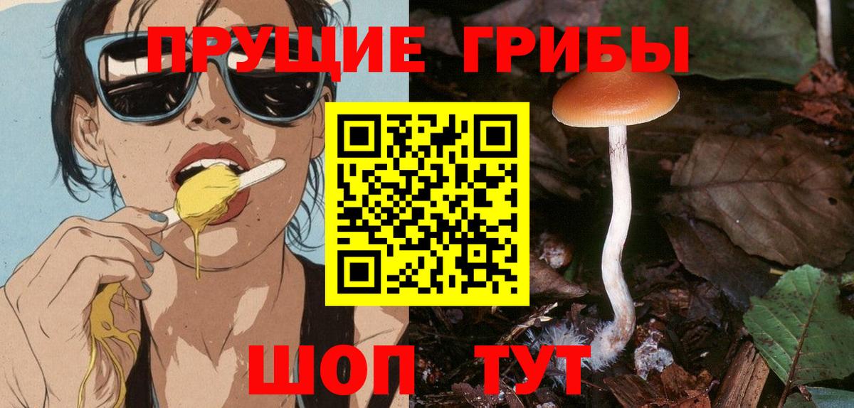 Псилоцибиновые грибы мухоморы  Галлюциногенные грибы мицелий  Красноярск  Вход с VPN 